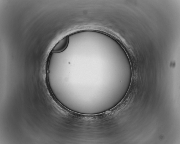 X0000100201512200806131218