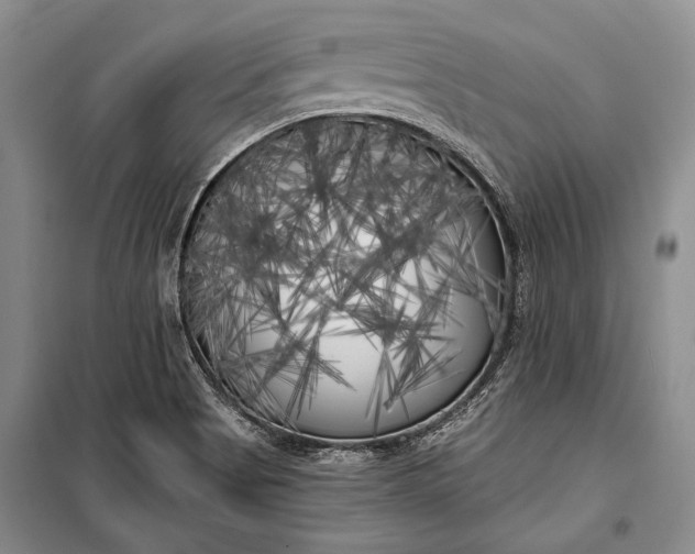 X0000100201513200806131218