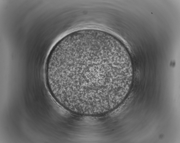 X0000100201514200806131218