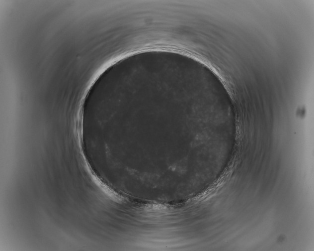 X0000100201515200806131218