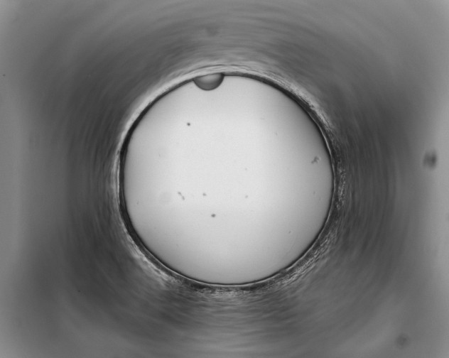 X0000100201516200806131218