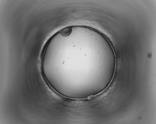 X0000100201517200806131218