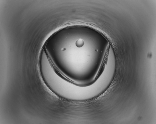 X0000100201518200806131218