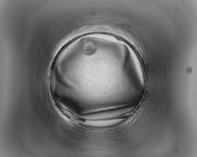 X0000100201519200806131218