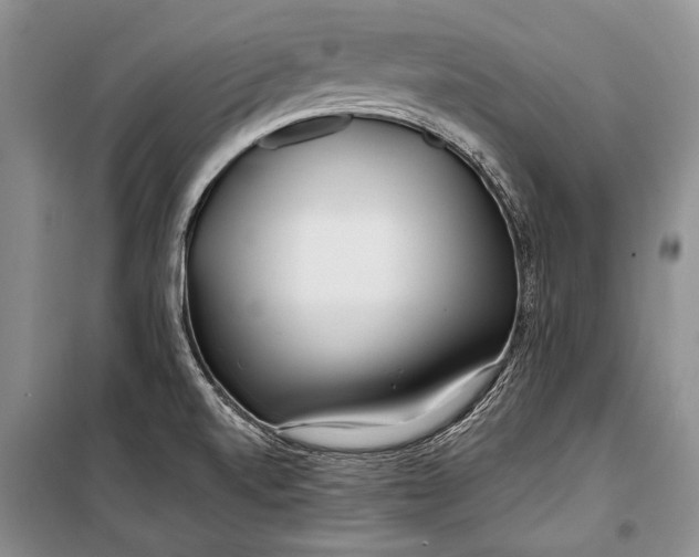 X0000100201520200806131218