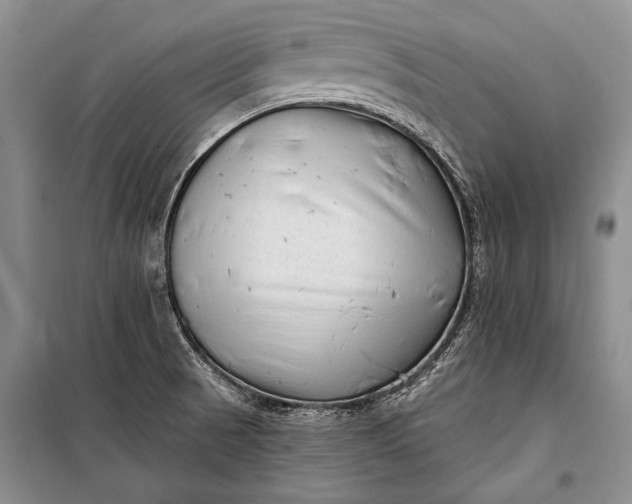 X0000100201521200806131218