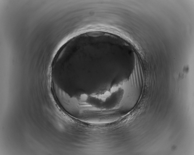 X0000100201522200806131218