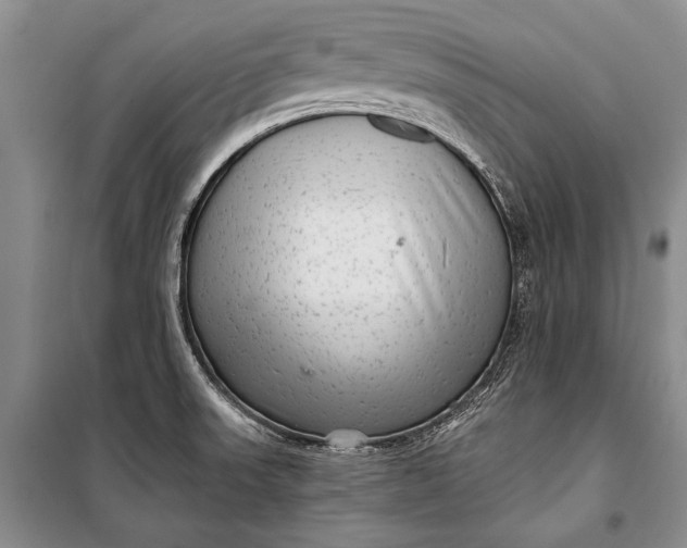 X0000100201523200806131218