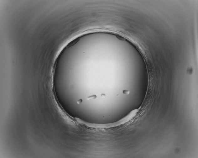 X0000100201524200806131218