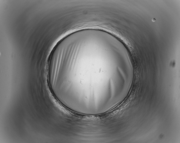 X0000100201526200806131218