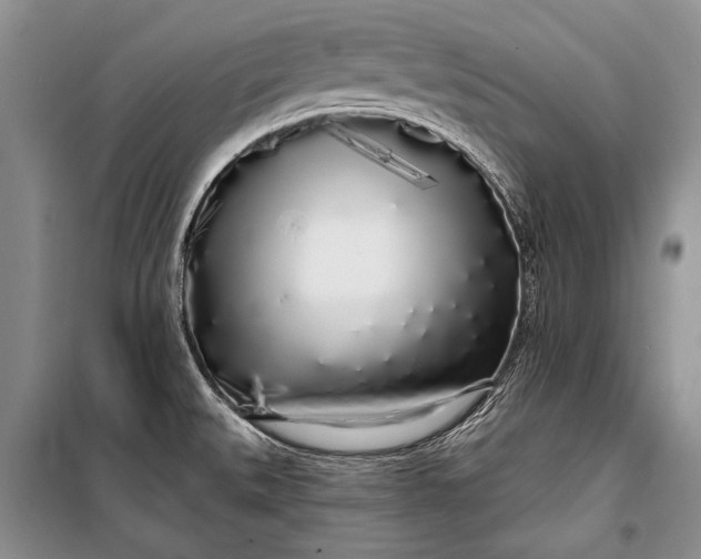 X0000100201527200806131218