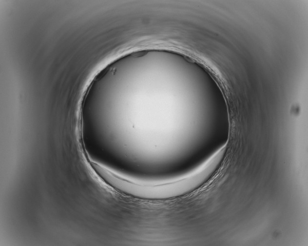 X0000100201528200806131218