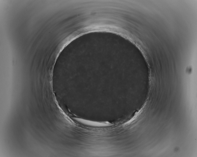 X0000100201529200806131218