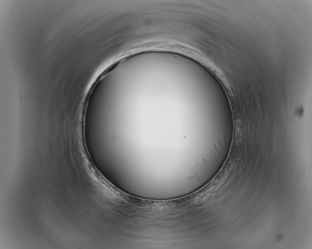 X0000100201530200806131218