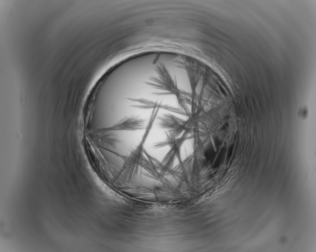 X0000100201531200806131218