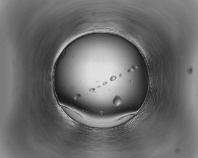 X0000100201532200806131218