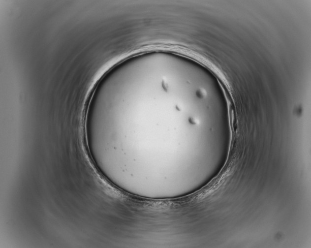 X0000100201533200806131218