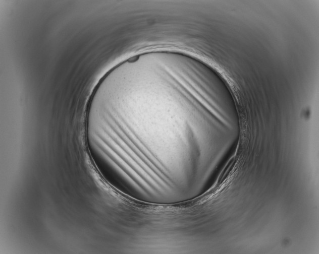 X0000100201534200806131218