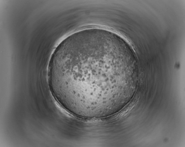 X0000100201535200806131218