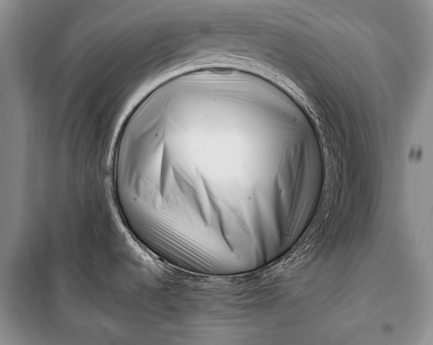 X0000100201536200806131218