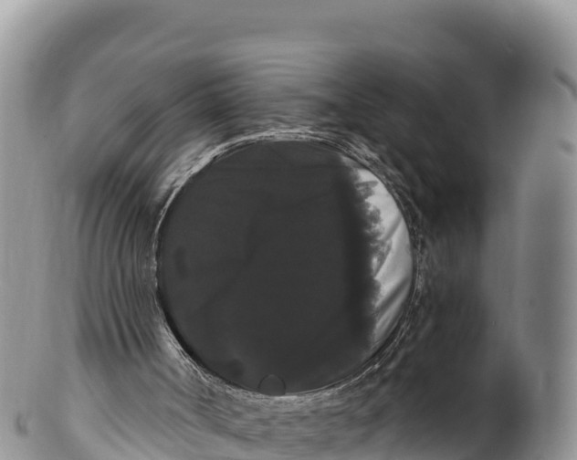 X0000100200002200806201432