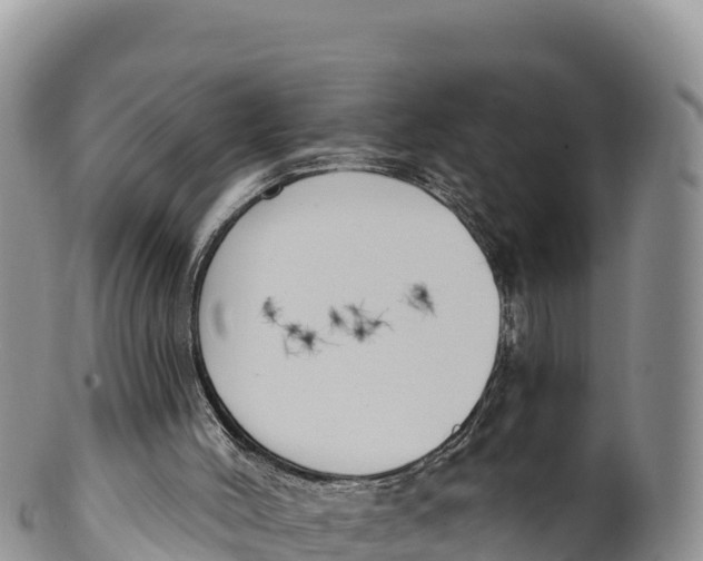 X0000100200004200806201432