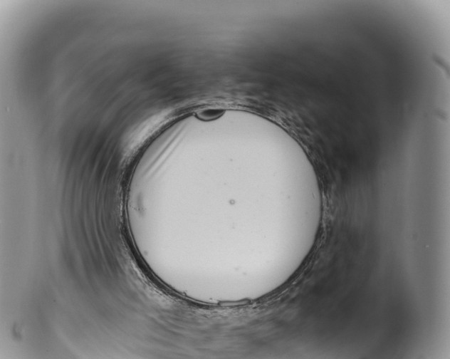 X0000100200005200806201432