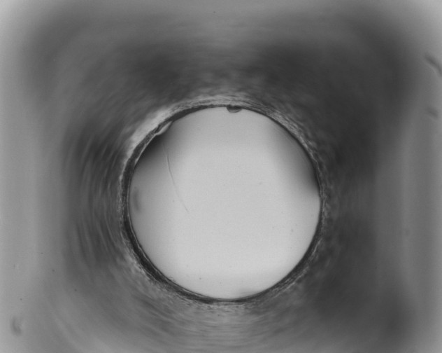 X0000100200008200806201432