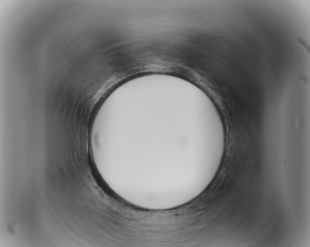 X0000100200011200806201432