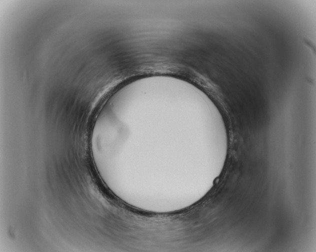 X0000100200012200806201432