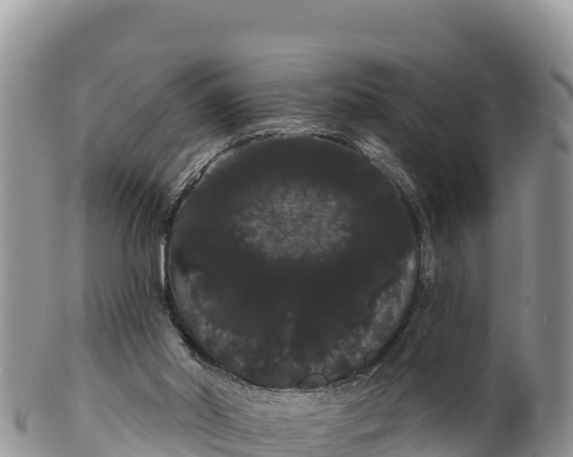 X0000100200014200806201432