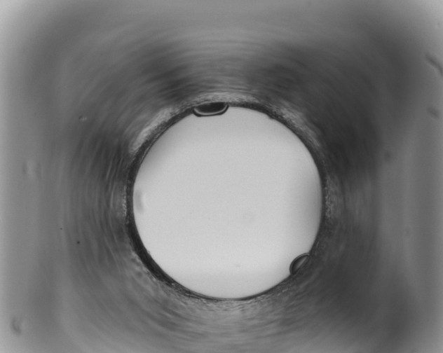 X0000100200015200806201432