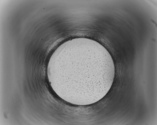 X0000100200016200806201432