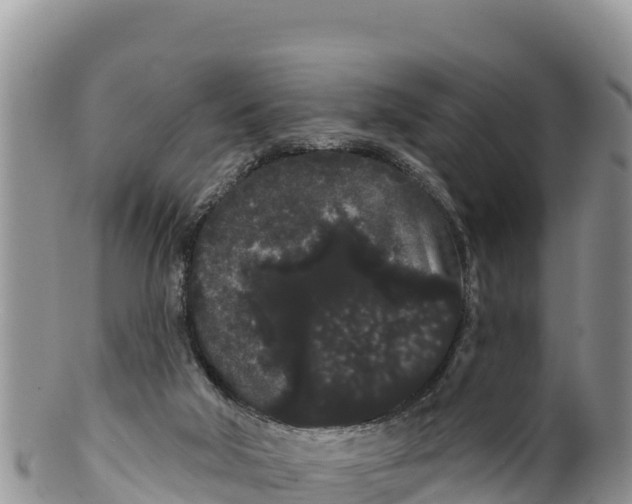 X0000100200018200806201432