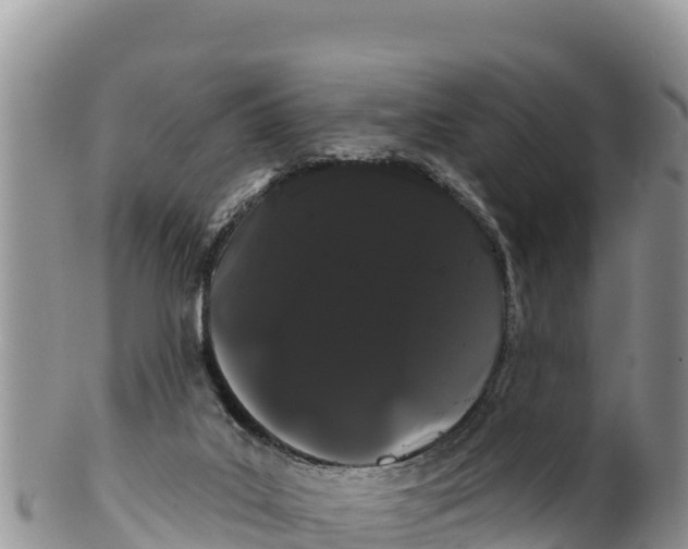 X0000100200019200806201432