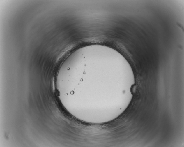 X0000100200020200806201432