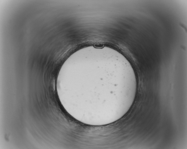 X0000100200021200806201432