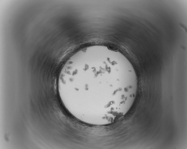 X0000100200024200806201432