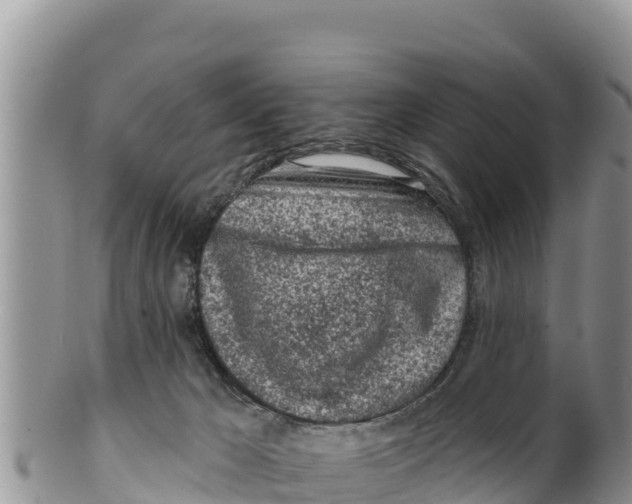 X0000100200029200806201432