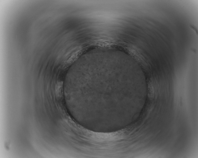 X0000100200034200806201431