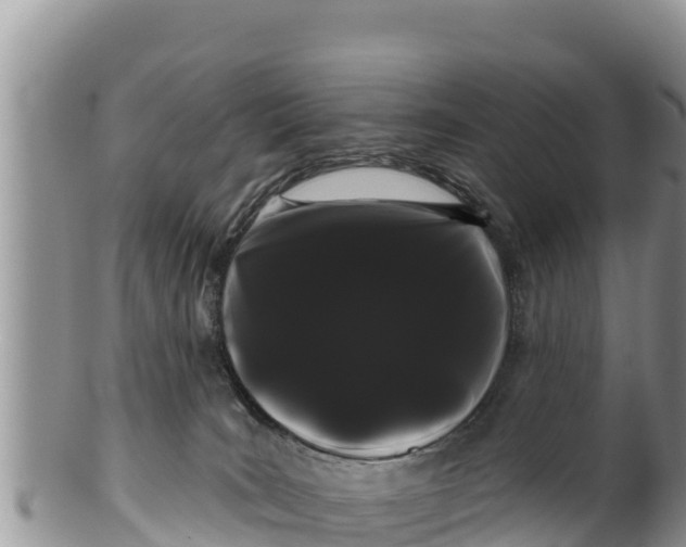 X0000100200035200806201431