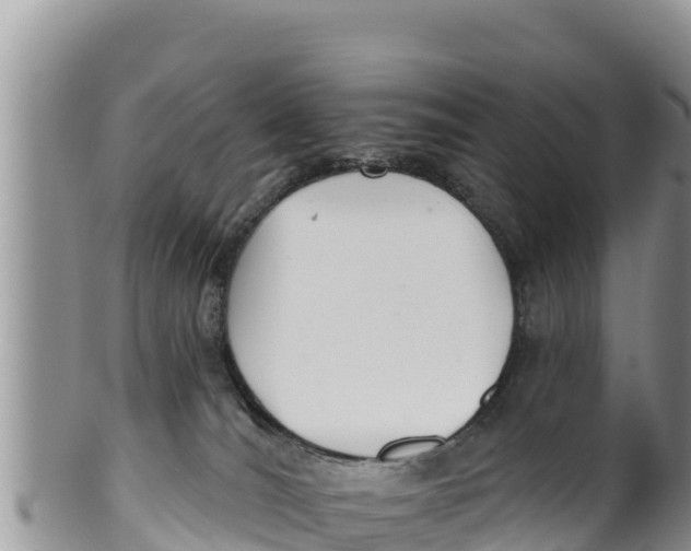 X0000100200036200806201431