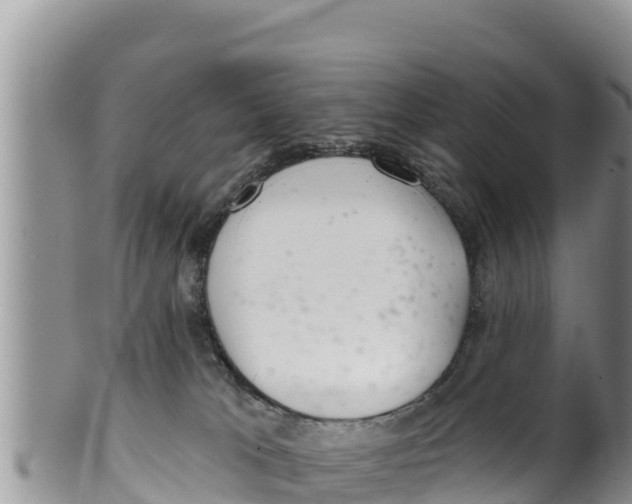 X0000100200037200806201431