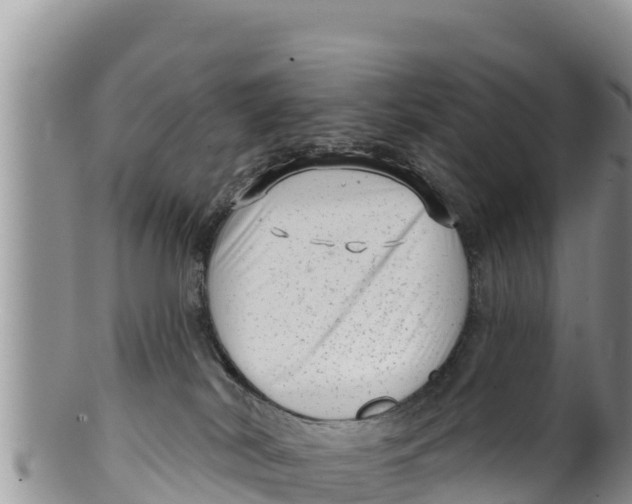 X0000100200038200806201431