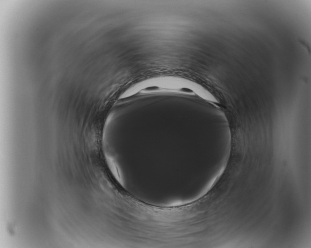 X0000100200039200806201431