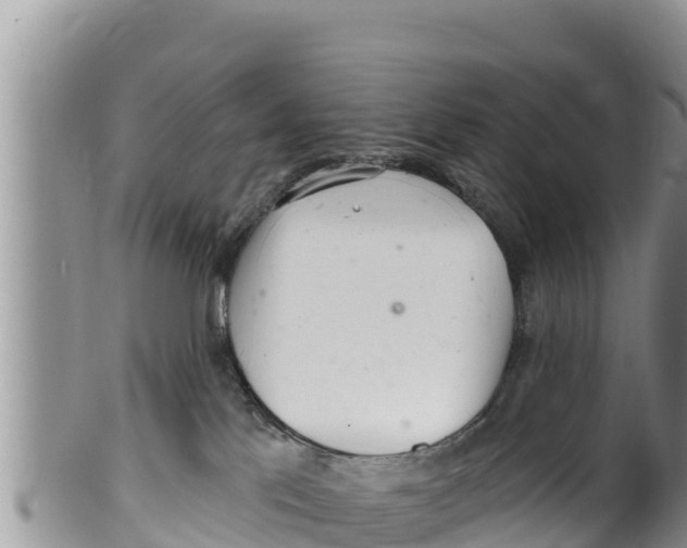 X0000100200041200806201431