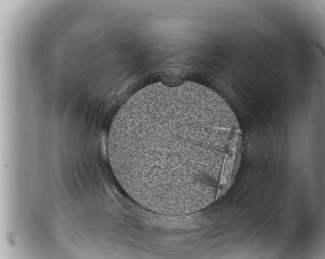 X0000100200042200806201431