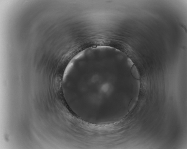 X0000100200043200806201431