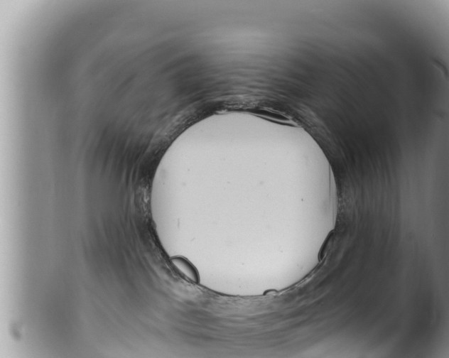 X0000100200045200806201431