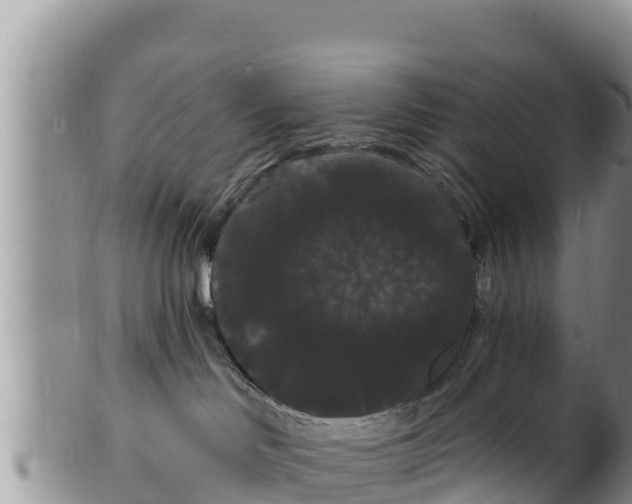 X0000100200046200806201431